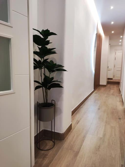 Apartamento Sierra-Sol Ronda Eksteriør bilde